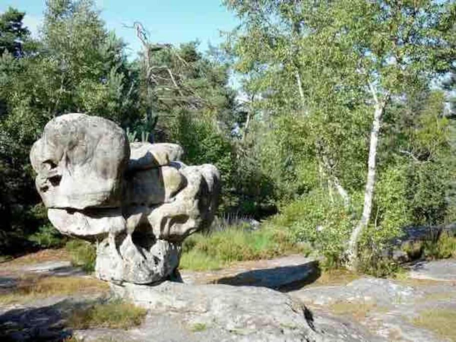La Pause Allongee - Fontainebleau Hypercentre Dış mekan fotoğraf